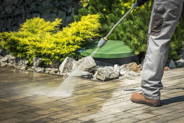 Best Animal Enclosure Cleaning  in Harbor Bluffs, FL
